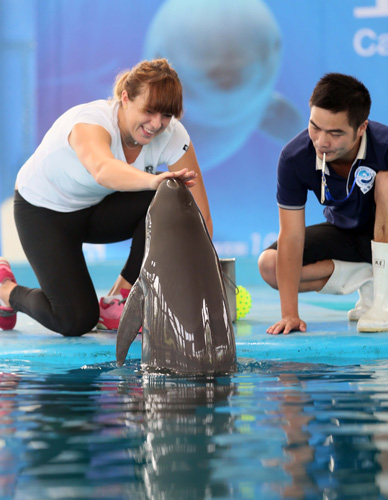 强大的意志 强大的意志