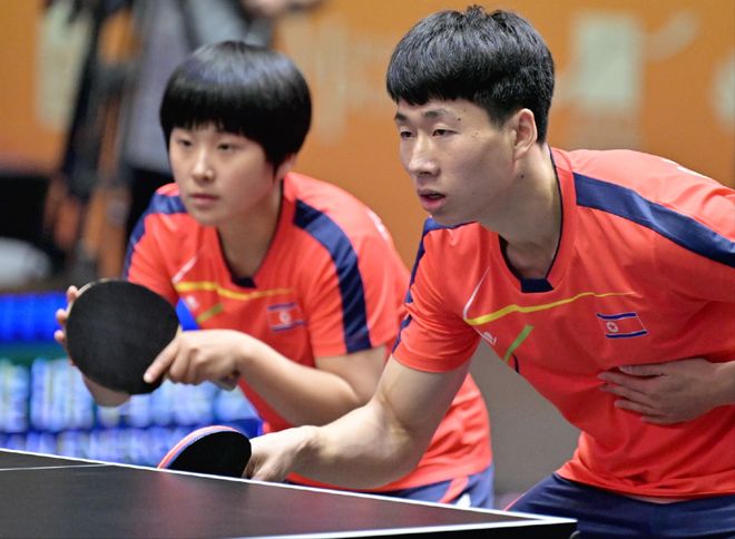 毛球整体实 毛球整体实