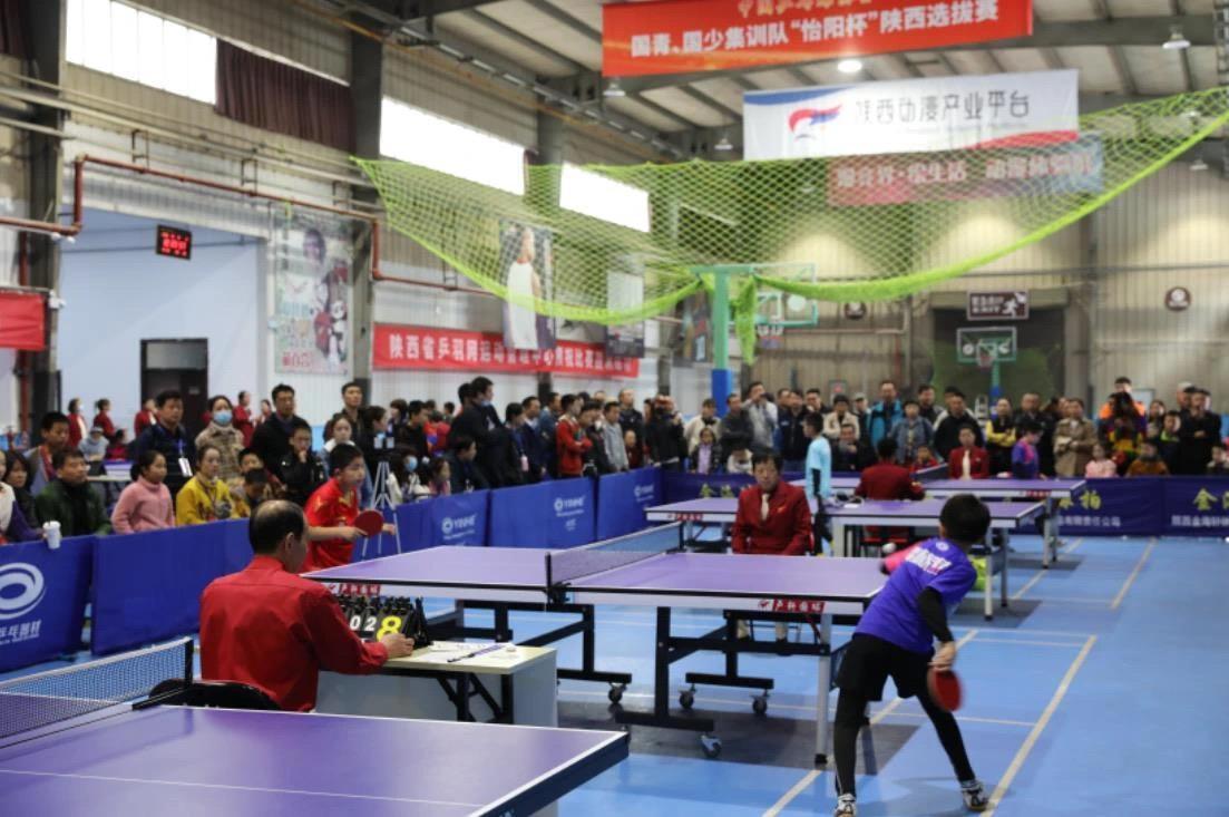 美国家庭生 美国家庭生