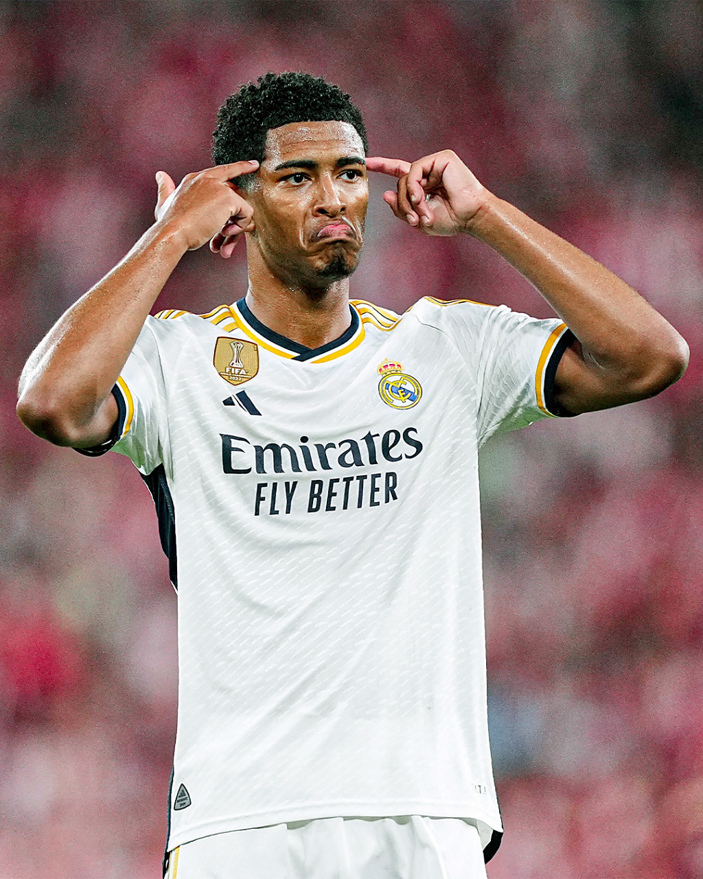 某头部项目 某头部项目